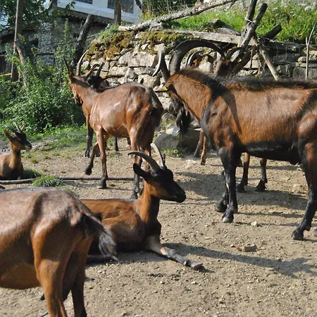 House- La Magnana Farm 팜스테이 *